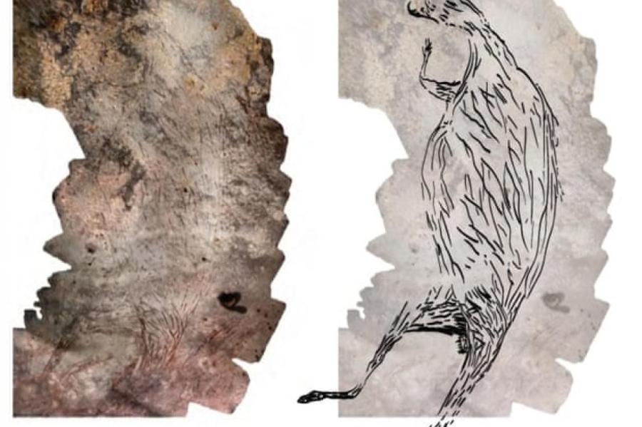 Древнейшим наскальным рисунком Австралии признали изображение кенгуру
