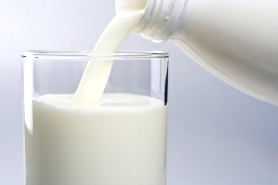 Предмет спора: безлактозное молоко — полезный продукт или дань моде