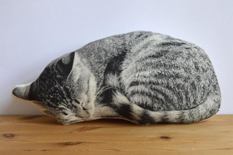 Эксперты: почему кошки любят сворачиваться в клубок во время сна
