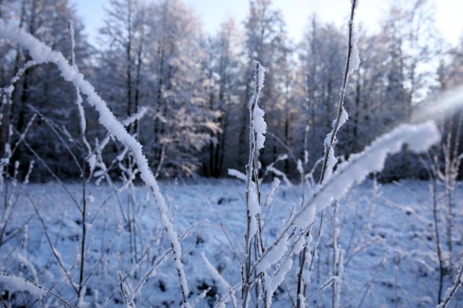 «Станет ещё холоднее!» Синоптики: о погоде на новой неделе в Латвии