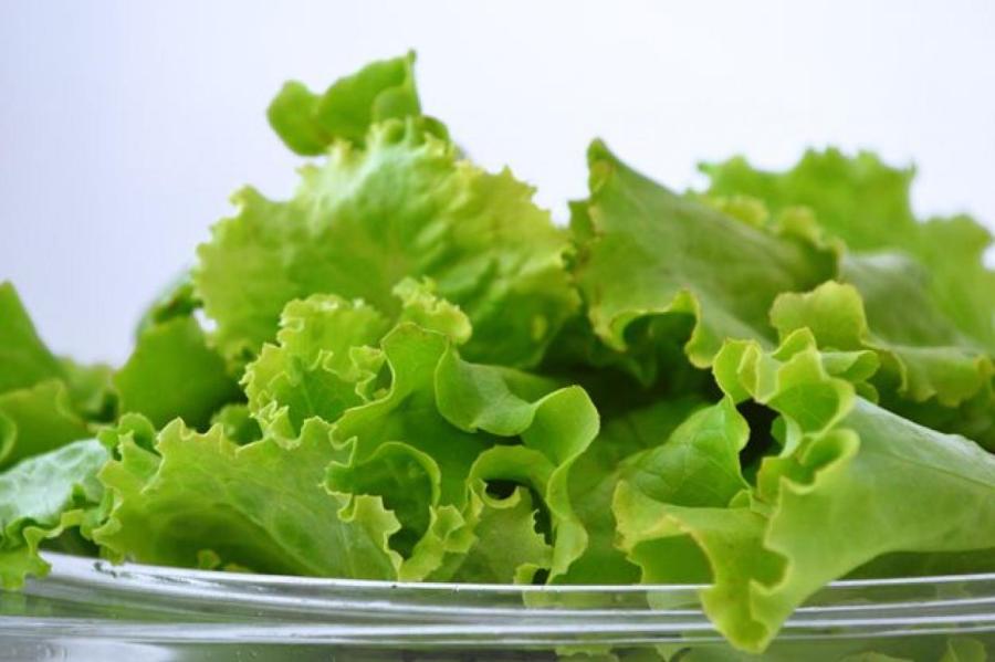 Зачем ежедневно есть листовой салат