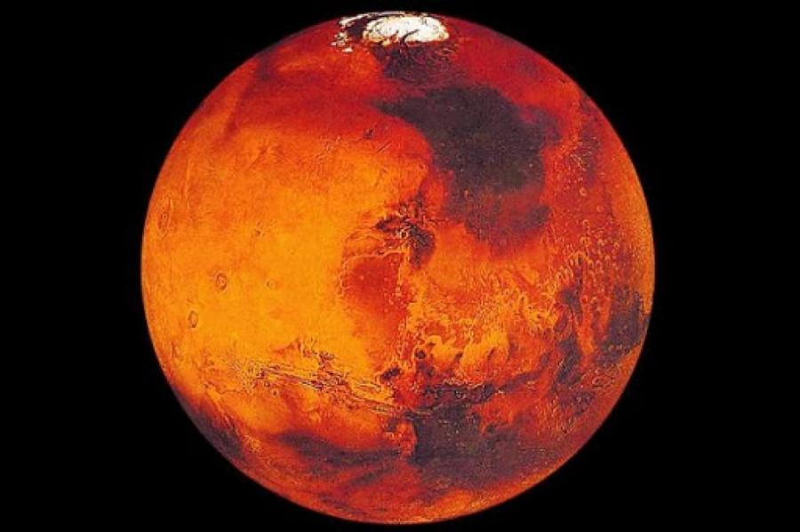 Глава Роскосмоса ответил на призыв Маска к ядерной бомбардировке Марса