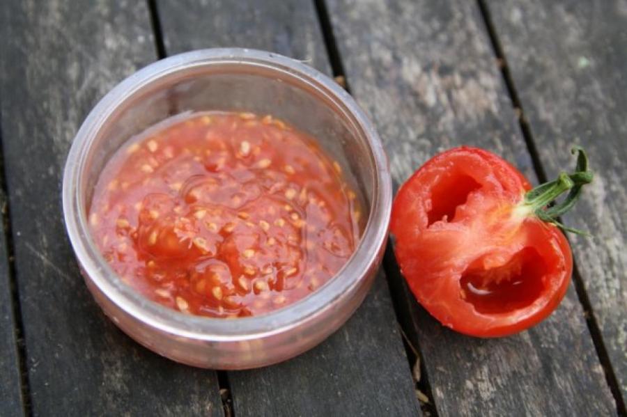 Увеличиваем урожай томатов в открытом грунте