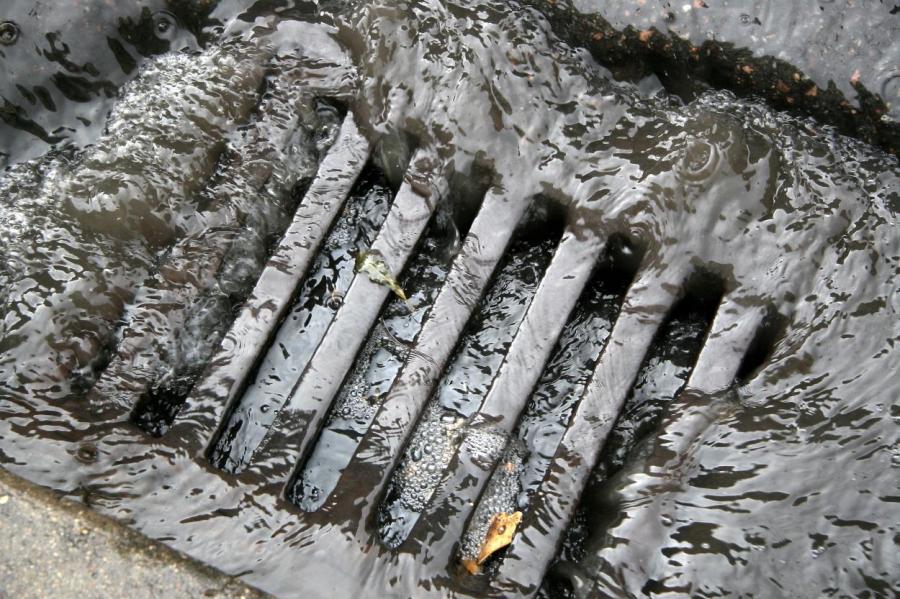 Из грязи в князи: правительство Латвии залезло в канализацию