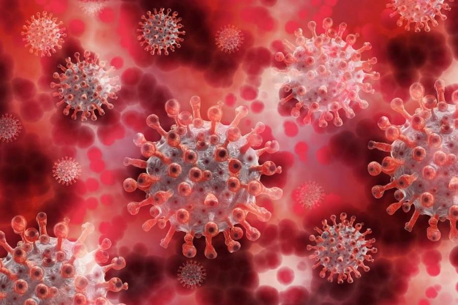 Найден устойчивый к антителам штамм коронавируса