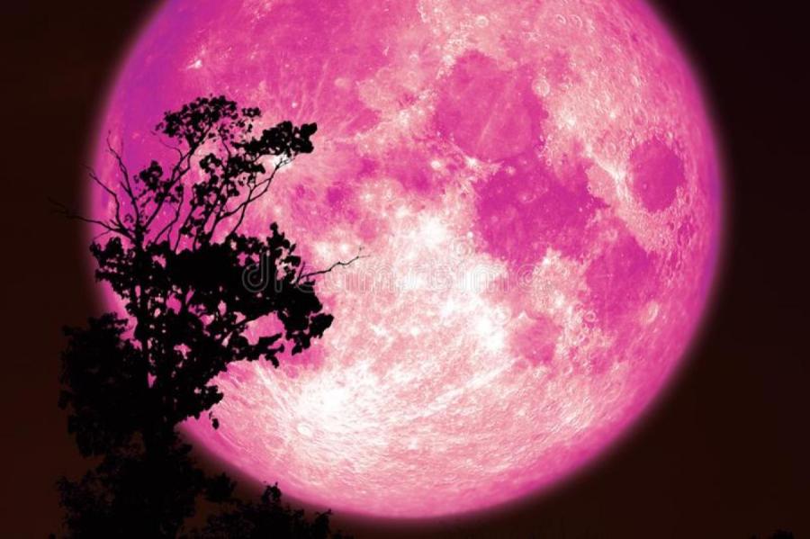 Что розовое суперлуние готовит вашему знаку зодиака