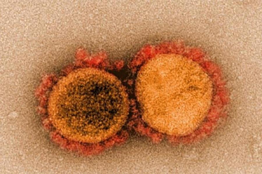 Названы эффективные против новых форм коронавируса вакцины