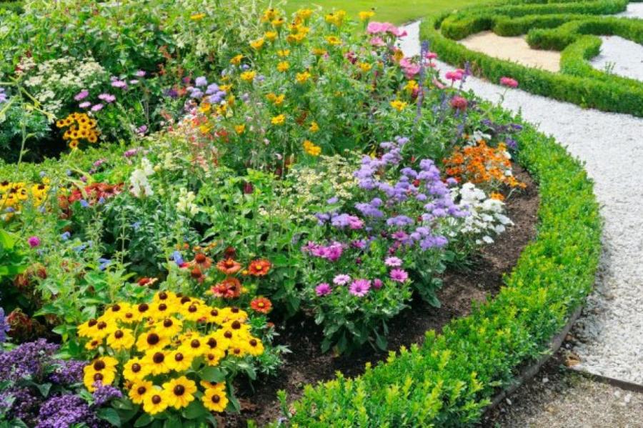 Красивый сад с нуля: советы эксперта | myDecor