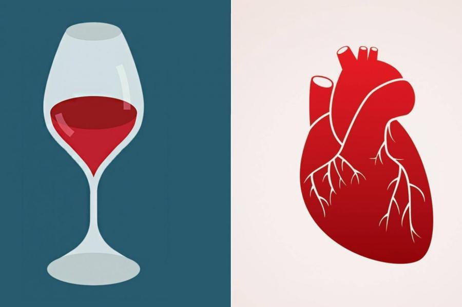 Умеренное употребление алкоголя снижает риск сердечно-сосудистых заболеваний