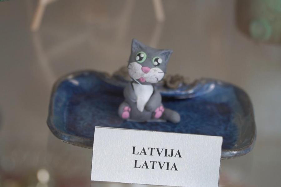 В Литве собрались шесть живых кошек и шесть тысяч их образов (ВИДЕО)