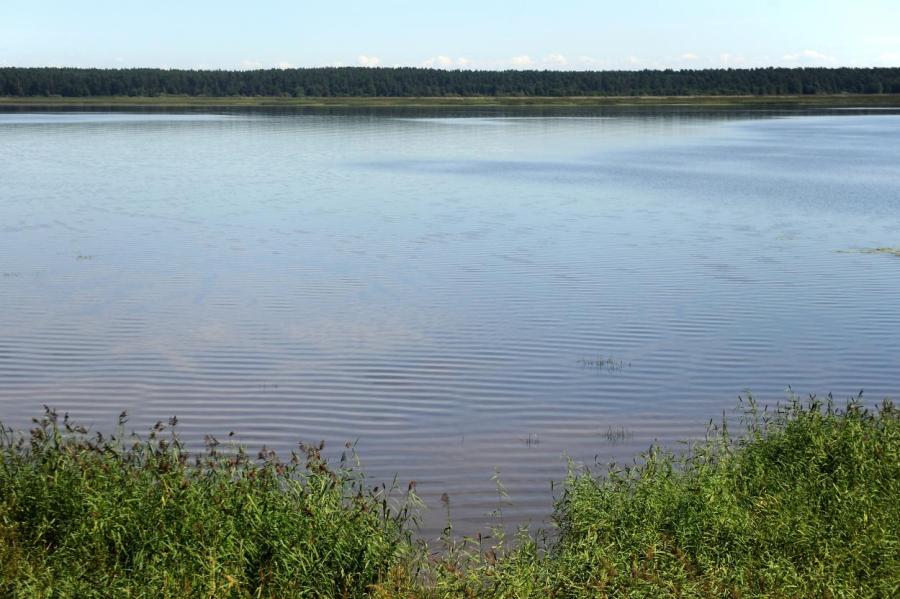 Температура воды в водоемах Латвии: от +6 до +16 градусов