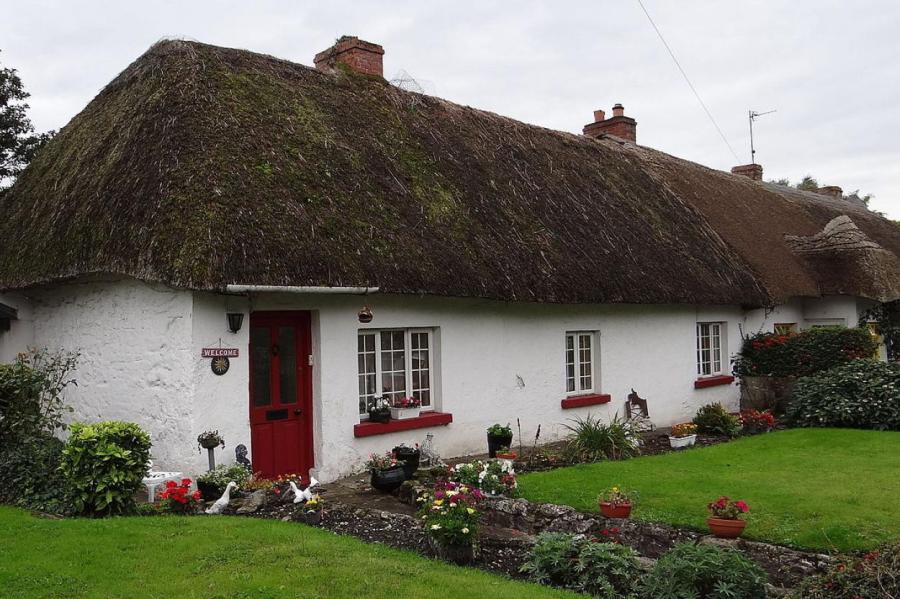 Ирландия создаст в сельской местности 400 центров для удалёнки