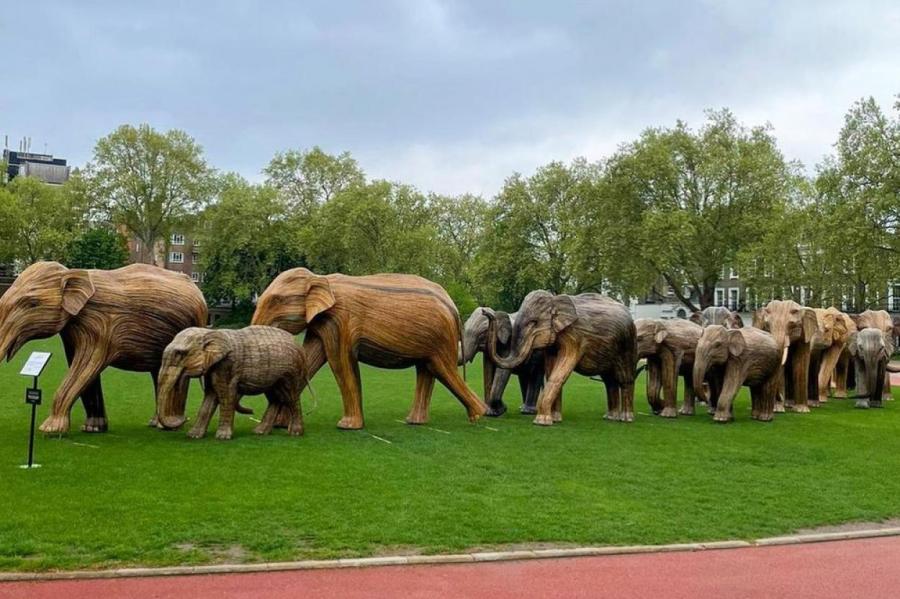 Стадо слонов появилось в центре Лондона