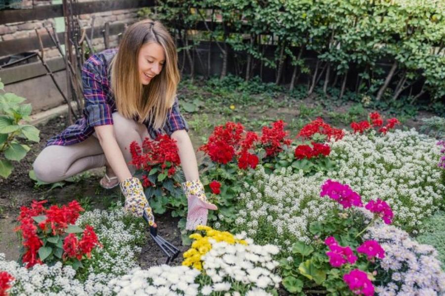Что делать в саду, огороде и цветнике в июне – важные полезные советы