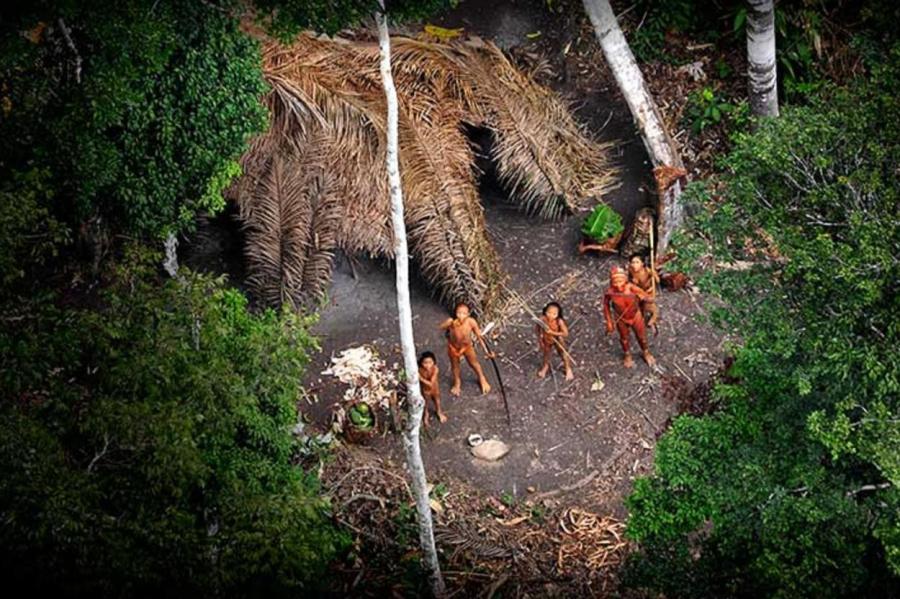 Исследование: люди, жившие в джунглях Амазонии, оставляли их нетронутыми