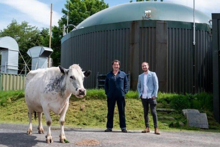 Британский фермер использует для майнинга криптовалюты коровий навоз