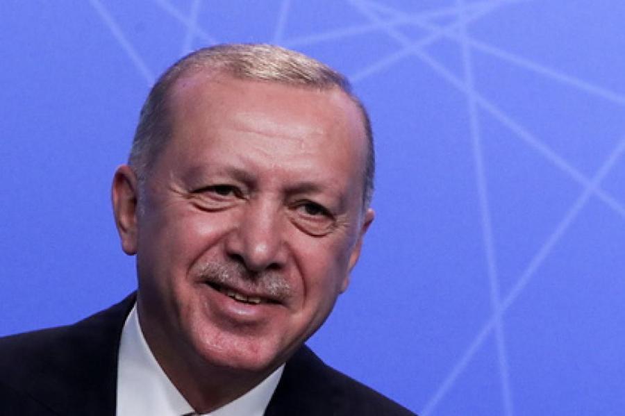 Эрдоган раскрыл одну из тем переговоров с Путиным