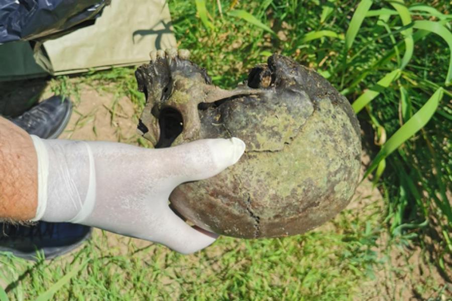 Рыбак в Кулдигском крае нашел в реке человеческий череп
