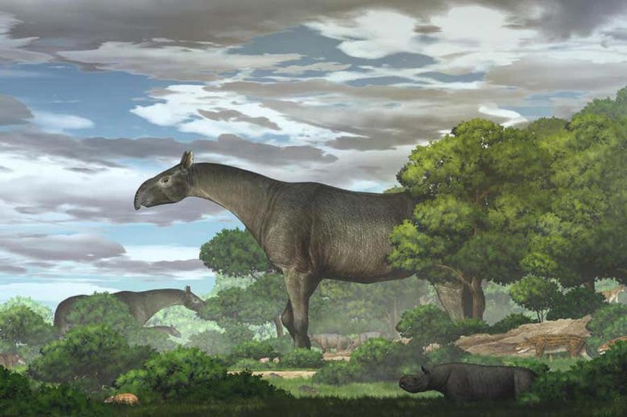 Как выглядело одно из крупнейших наземных млекопитающих в истории Земли
