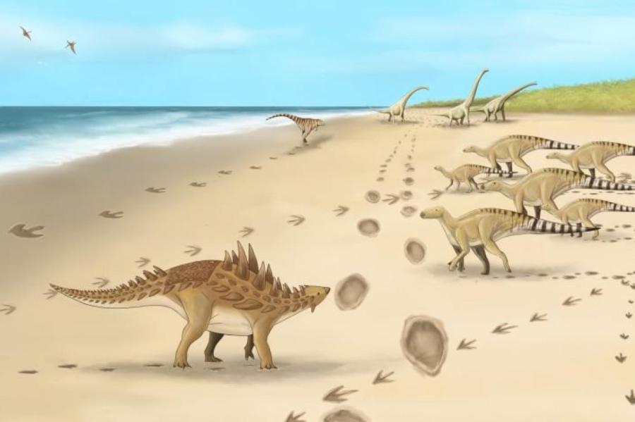 Следы последних динозавров
