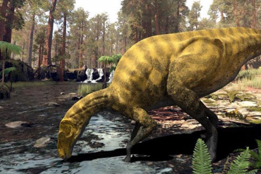 Гигантский динозавр, который жил 130 млн лет назад, обнаружен учёными