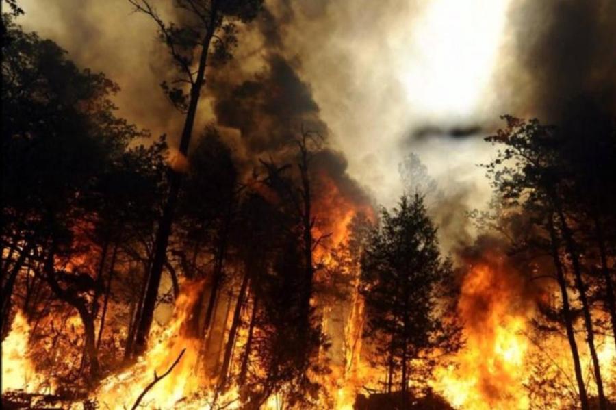 Почти по всей Латвии сохраняется высокая пожароопасность