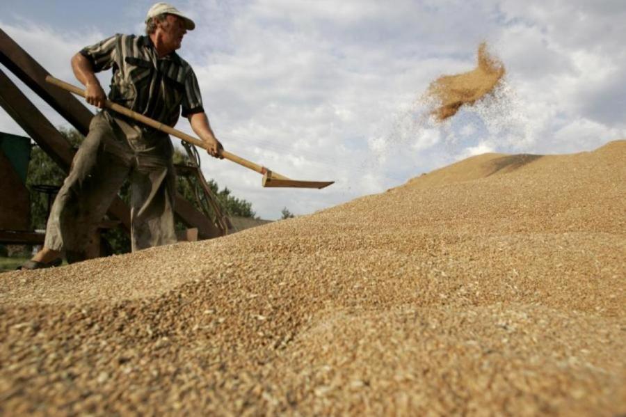 РФ отгрузила через Латвию рекордное количество зерна, но обещает переориентацию