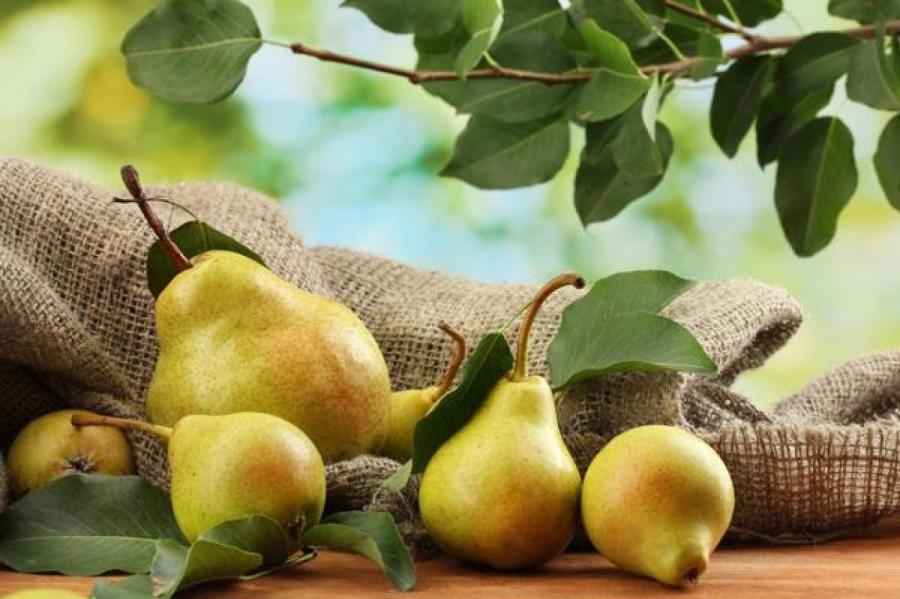 Яблоки и груши способствуют похудению
