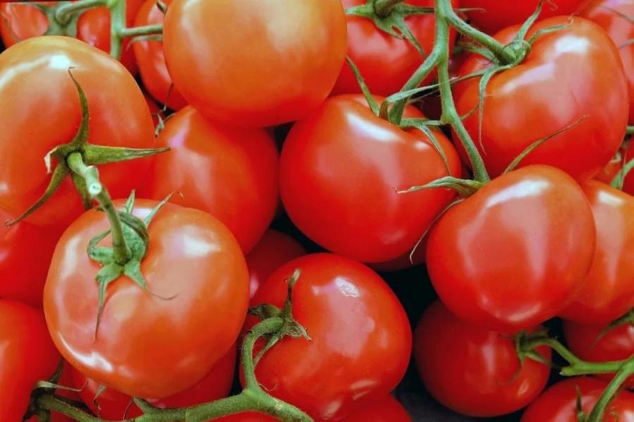 Суперудобрения для томатов