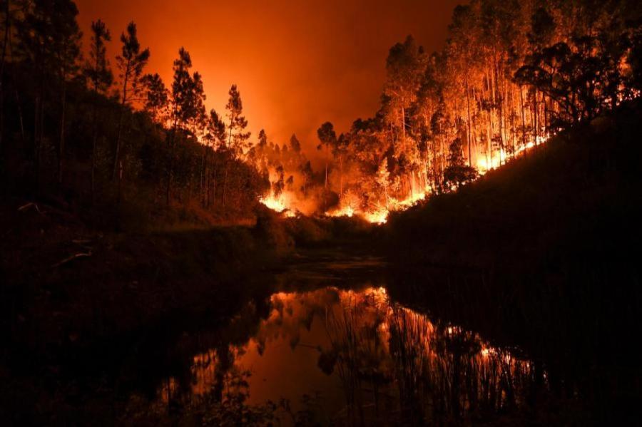 Сигулдский край снова в огне - горят болота