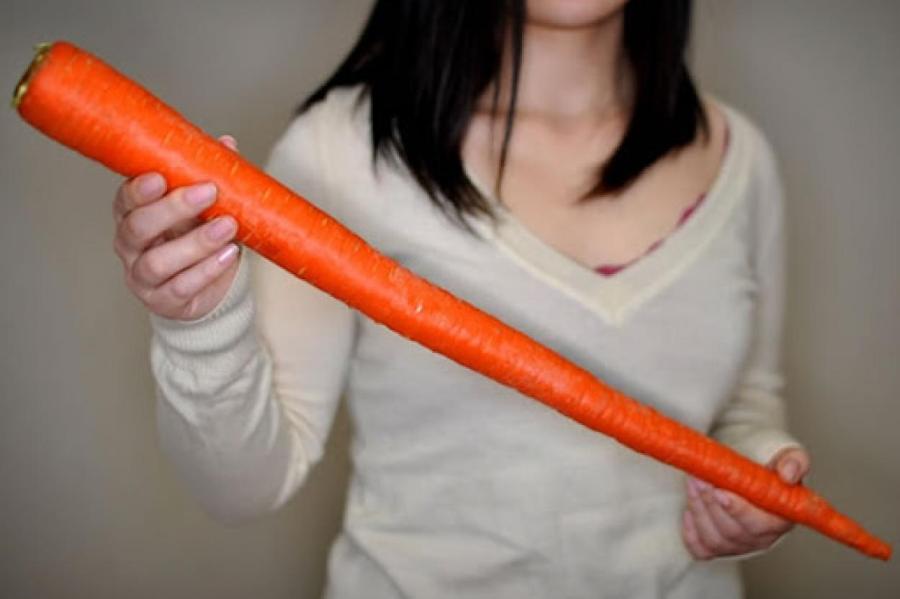В Эстонии выкопали чудовищную морковку-мутанта: глобальное потепление
