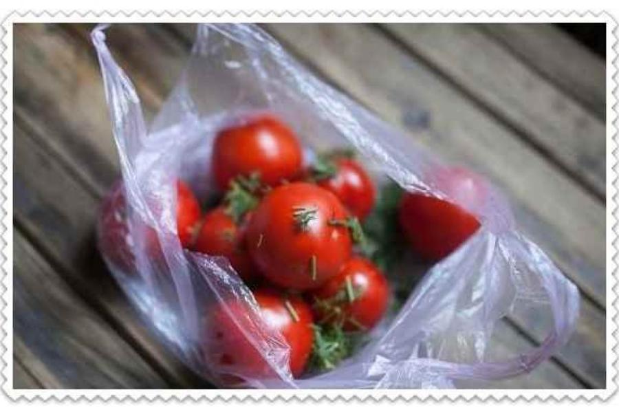 Малосольные помидоры – крутая летняя закуска