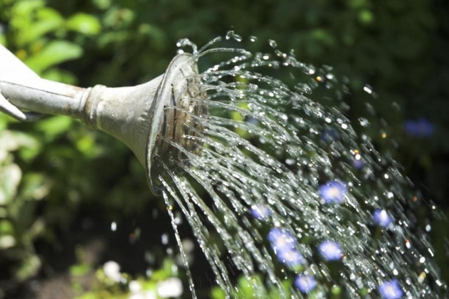 Можно ли поливать посадки холодной водой из скважины