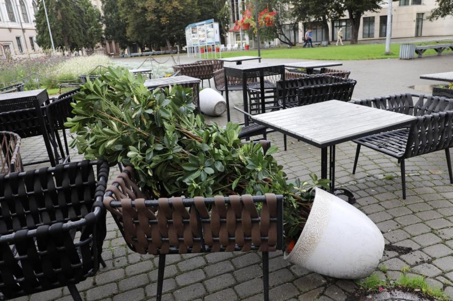 Во вторник из-за грозы и ветра во многих местах Латвии были повалены деревья