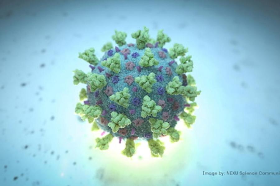 Вирусолог оценил шанс появления невосприимчивого к вакцинам штамма коронавируса