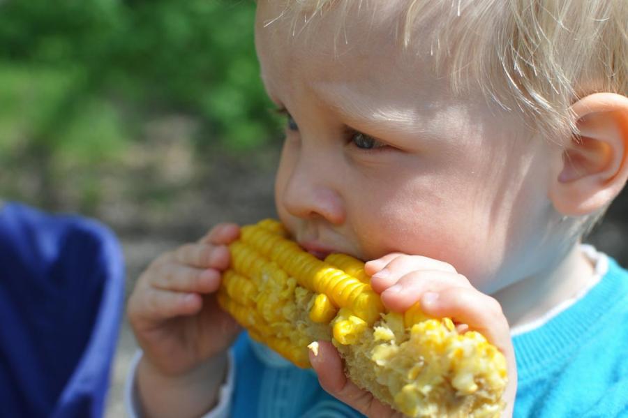 Чтобы была мягкая и сочная: как правильно варить кукурузу