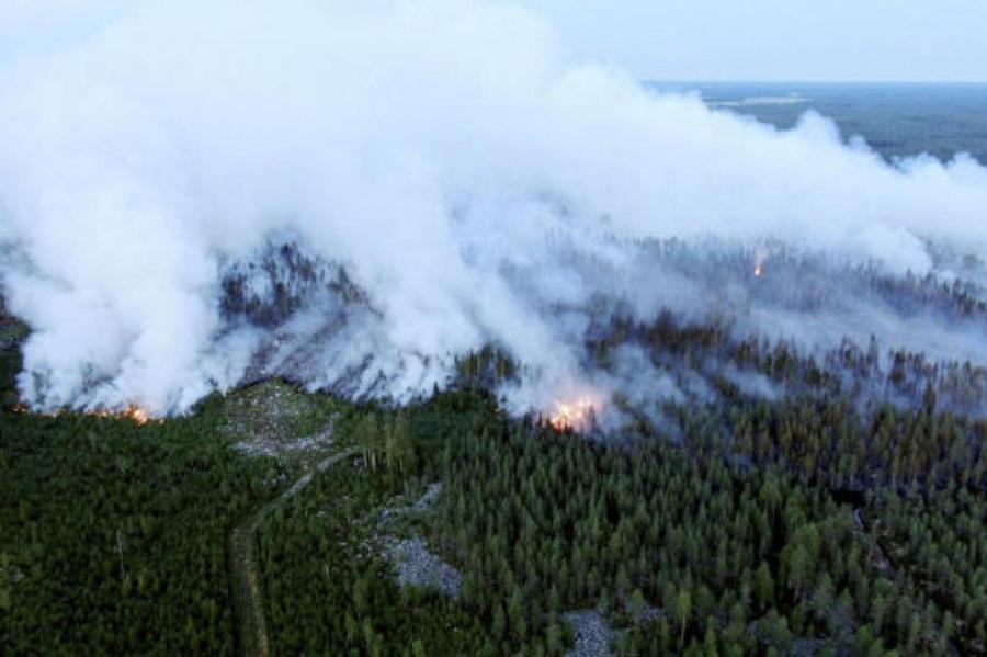 Финляндия страдает от крупнейшего лесного пожара за пятьдесят лет