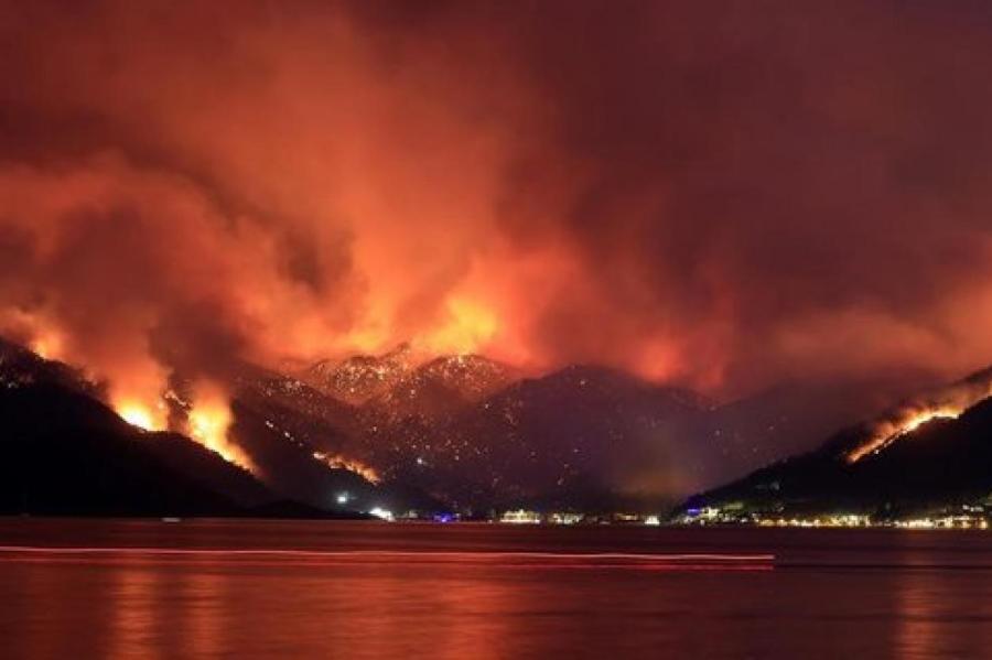 Эрдоган объявил зонами бедствия территории, на которых действуют лесные пожары