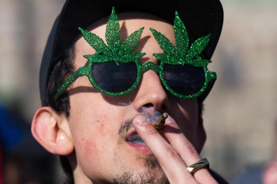 Психиатр оценил идею легализовать марихуану в Латвии