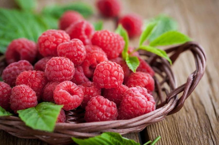 Любимая многими ягода оказалась ключом к долголетию