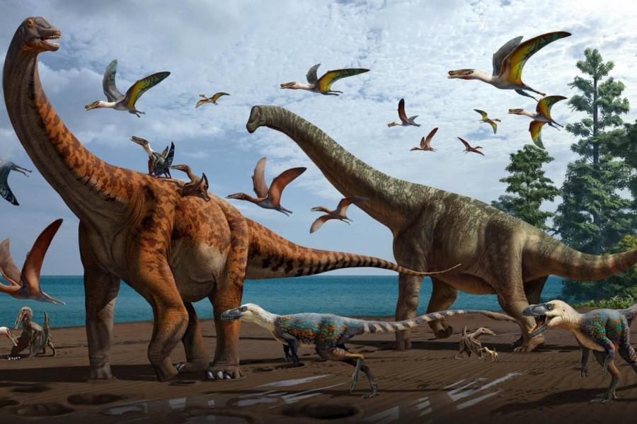 В Китае обнаружили два новых вида гигантских динозавров
