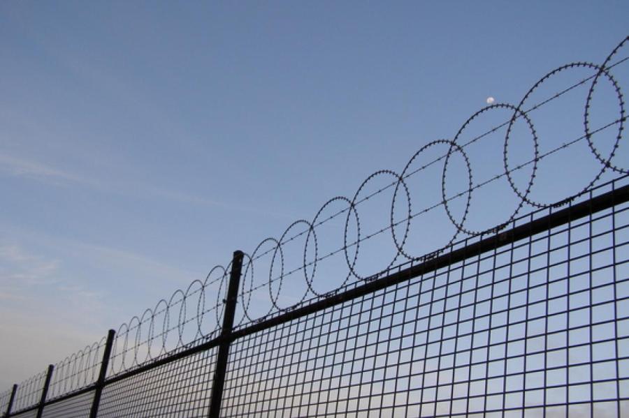 Латвия строит забор из колючей проволоки на границе с Беларусью