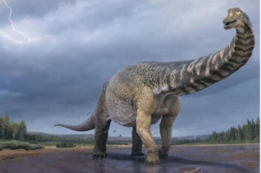 Палеонтологи описали самого большого динозавра Австралии