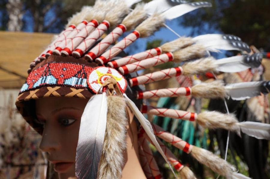 Алоэ вера, кактус и другие секреты красоты женщин индейских племен