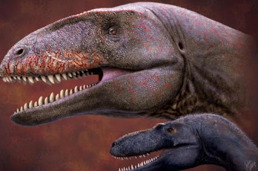 В Узбекистане нашли кости огромной хищной рептилии, страшнее тираннозавра