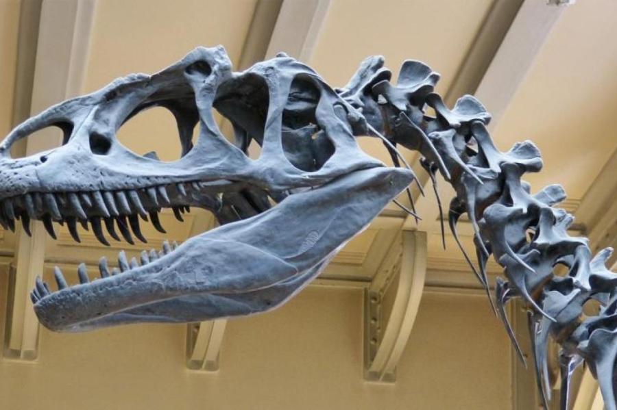 Доказано вымирание динозавров от падения астероида