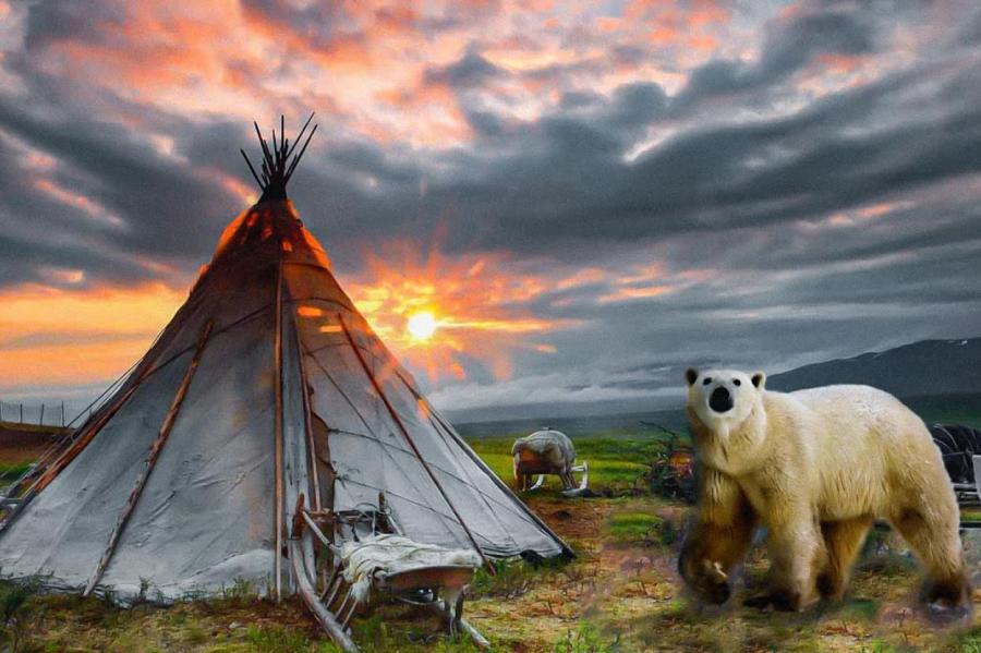 Ямальские кочевники отпугнут белых медведей
