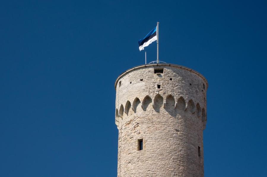 С рабочим визитом Латвию посетит новый президент Эстонии