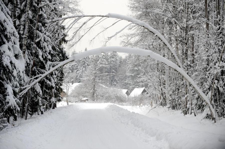 Синоптики: на Латвию идёт стихия — снегопад, метель...