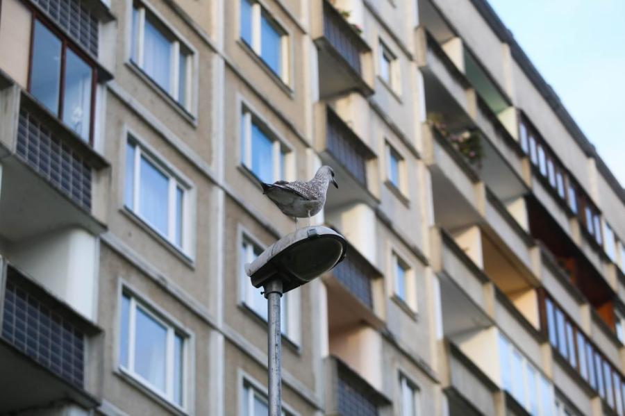 По росту цен на аренду жилья Латвия - четвертая в ЕС